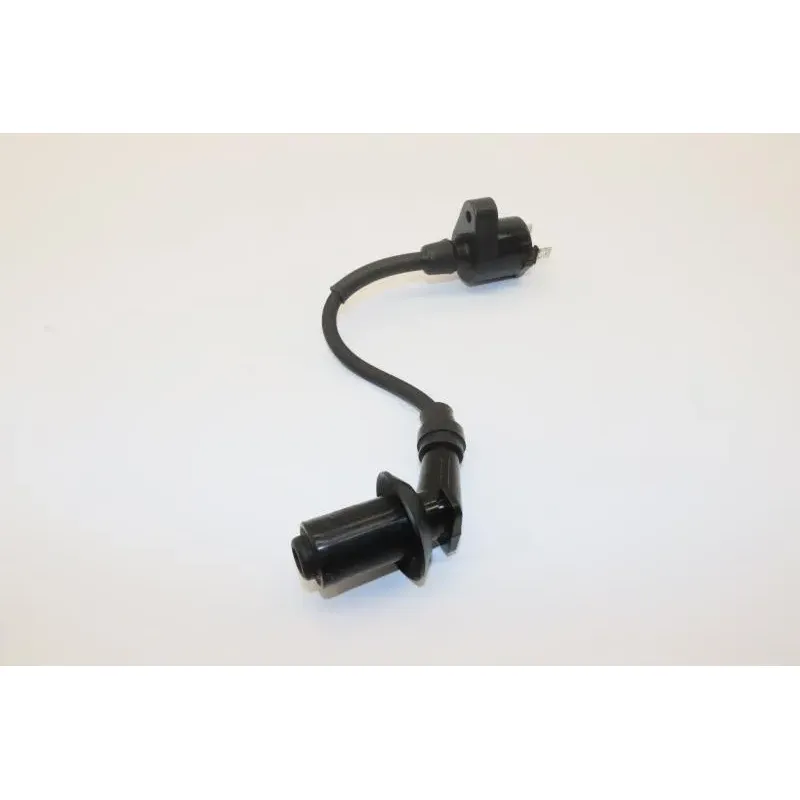 Bobine allumage PEUGEOT LUDIX 50 2012 - 2017