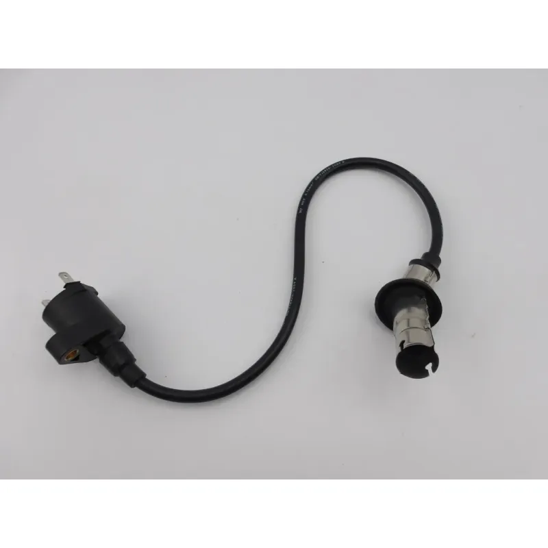 Bobine allumage EUROCKA GTR 50 2011 - 2014