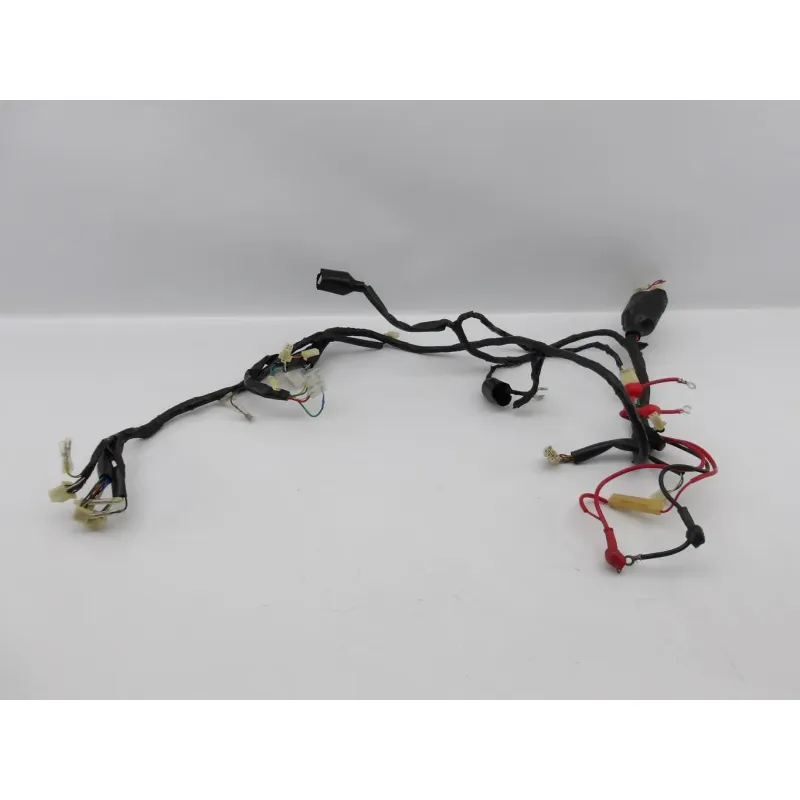 Faisceau electrique EUROCKA GTR 50 2011 - 2014