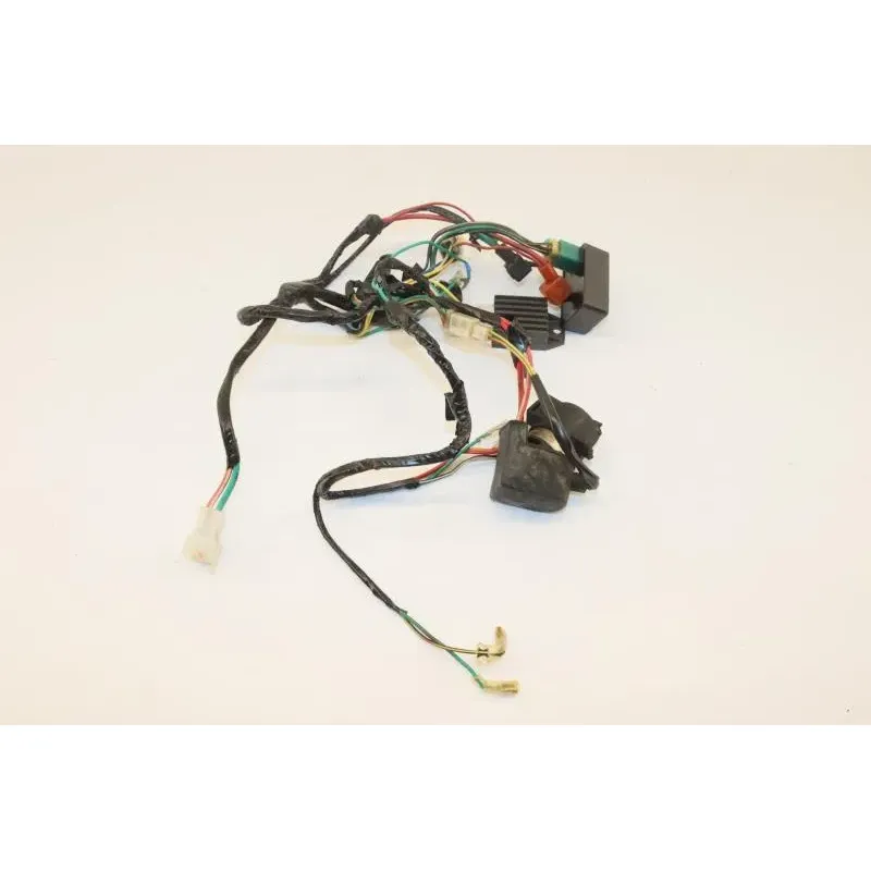 Faisceau electrique DIRT BIKE DIRT 110 2014 - 2014