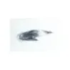 Clignotant avant droit APRILIA ATLANTIC 125 2006 - 2008