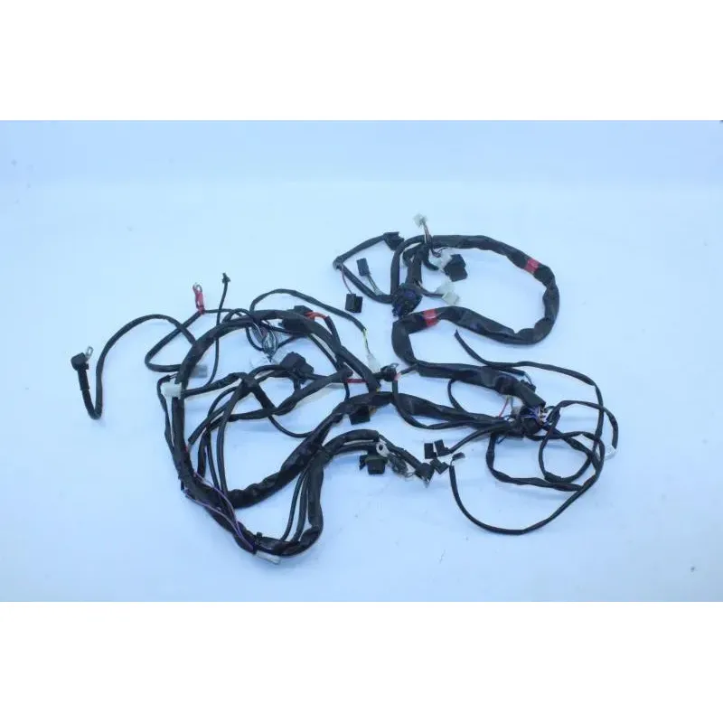 Faisceau electrique APRILIA ATLANTIC 125 2006 - 2008