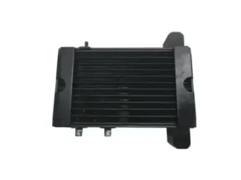 Radiateur huile BUELL 1125 R 2008-2010