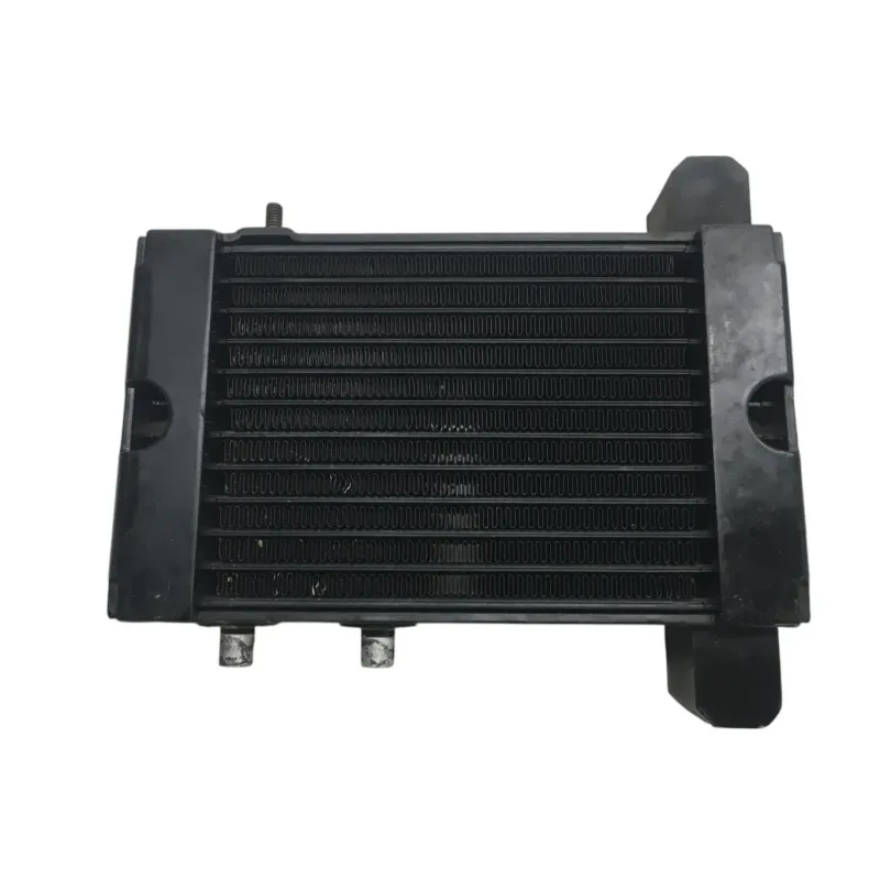 Radiateur huile BUELL 1125 R 2008-2010