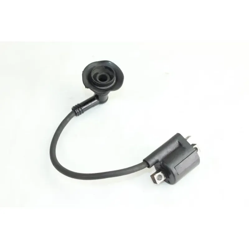 Bobine allumage YAMAHA CW 50 BWS 2004 - 2012