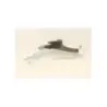 Habillage de reservoir PIAGGIO MP3 250 LT 2008 - 2009 Habillage de reservoir PIAGGIO MP3 250 LT 2008 - 2009