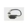 Bobine allumage PEUGEOT KISBEE 50 RS 2010 - 2020