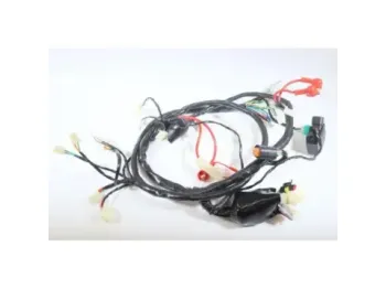 Faisceau electrique JM MOTORS EVOLIS 50 2020 - 2021