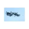 Faisceau electrique KAWASAKI ER6 650 F 2012 - 2016