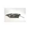 Coque arriere gauche YAMAHA YP 125 MAJESTY 2003 - 2006 Coque arriere gauche YAMAHA YP 125 MAJESTY 2003 - 2006