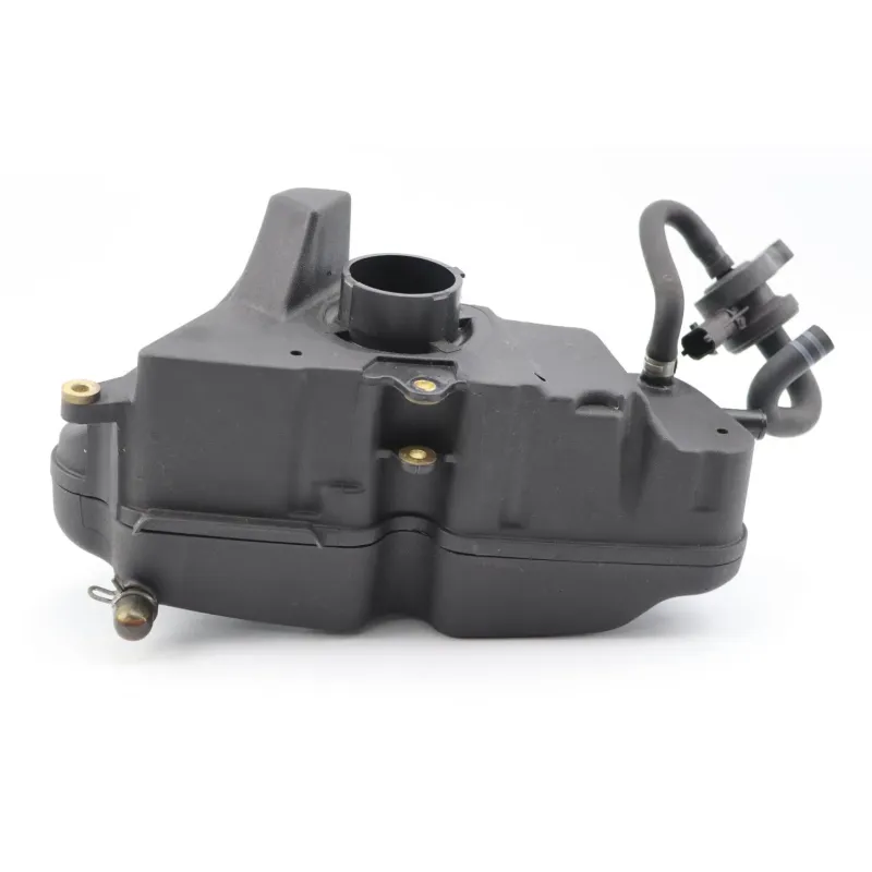 Boite a air PIAGGIO VESPA PRIMAVERA 125 2014 - 2020
