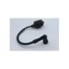 Bobine allumage MBK CW 50 BOOSTER 2004 - 2018
