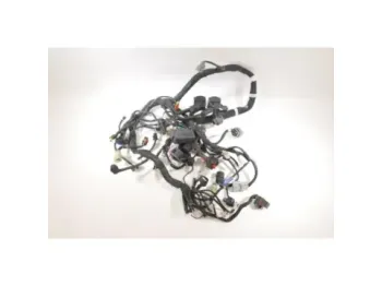 Faisceau electrique KTM DUKE 790 ABS 2018 - 2020