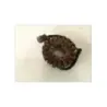 Stator alternateur KAWASAKI ZEPHYR 750 1991 - 1994 Stator alternateur KAWASAKI ZEPHYR 750 1991 - 1994