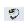 Bobine allumage PIAGGIO VESPA LX 125 1998 - 2000 Bobine allumage PIAGGIO VESPA LX 125 1998 - 2000