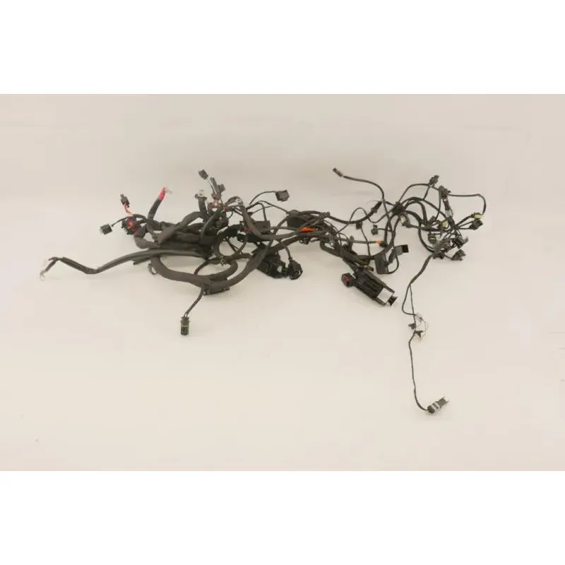 Faisceau electrique BMW F 800 GT 2015 - 2020