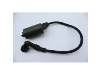 Bobine allumage HONDA NSS 250 FORZA ABS 2005 - 2006