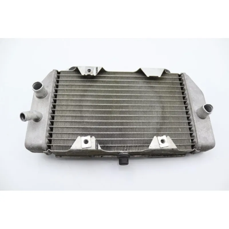 Radiateur eau HONDA NSS 250 FORZA ABS 2005 - 2006