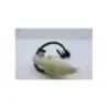 Vase expansion HONDA NSS 250 FORZA ABS 2005 - 2006