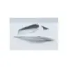 Coque arriere HONDA CBR 1000 RR 2012 - 2013