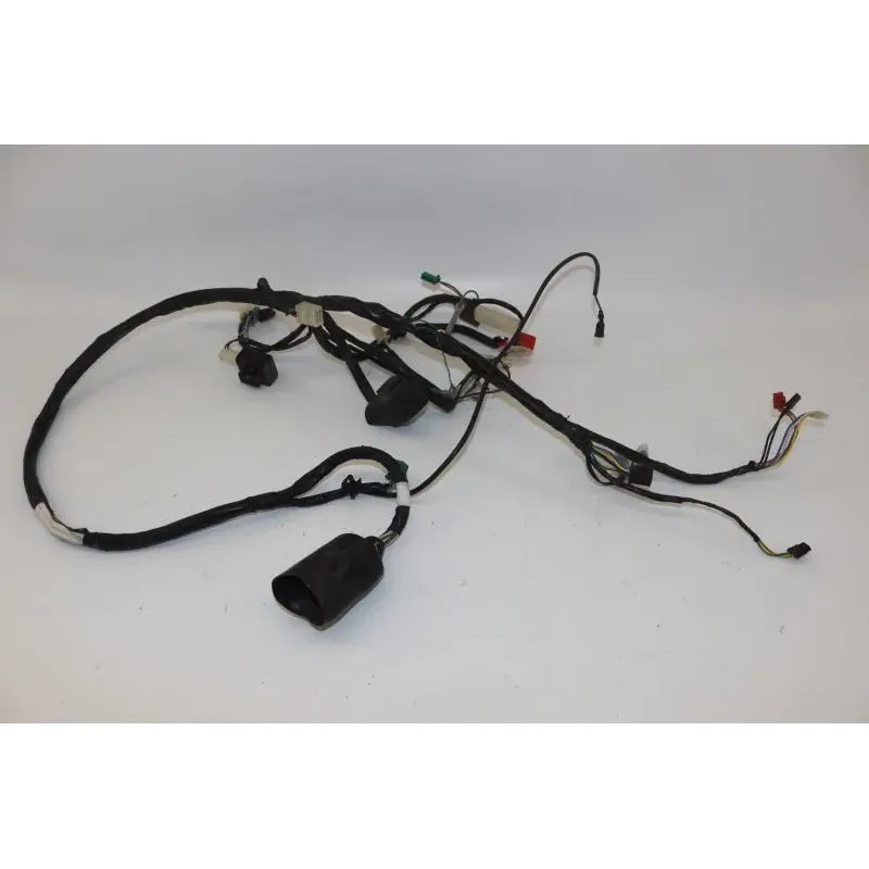Faisceau electrique HONDA SCV 100 LEAD 2003 - 2007