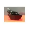 Cache batterie KAWASAKI ER6 650 F ABS 2012 - 2016