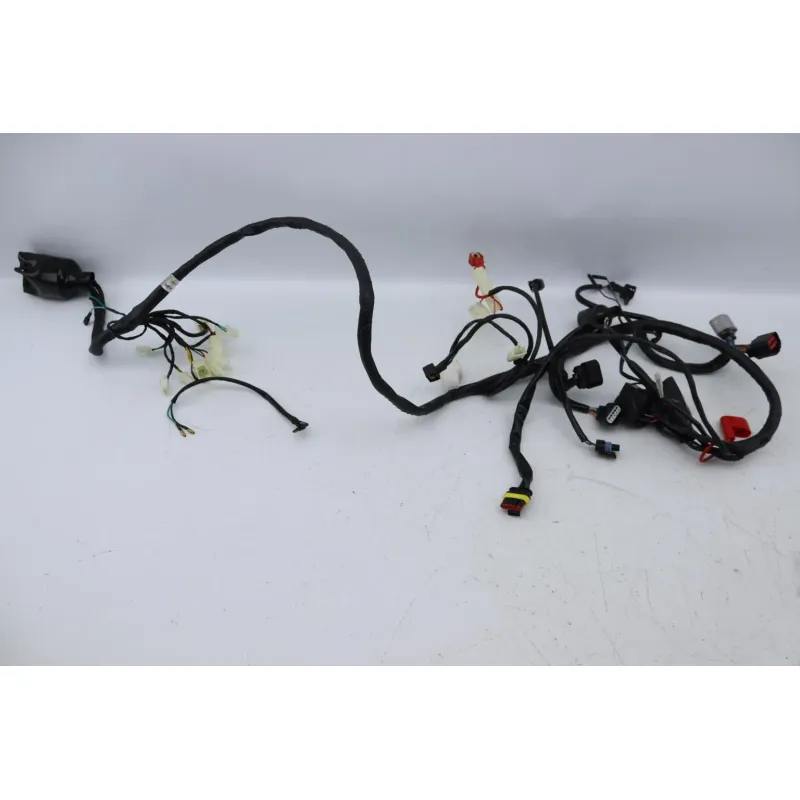 Faisceau electrique VARADES SUNNY MOTOR 50 SPORT 2022 - 2023