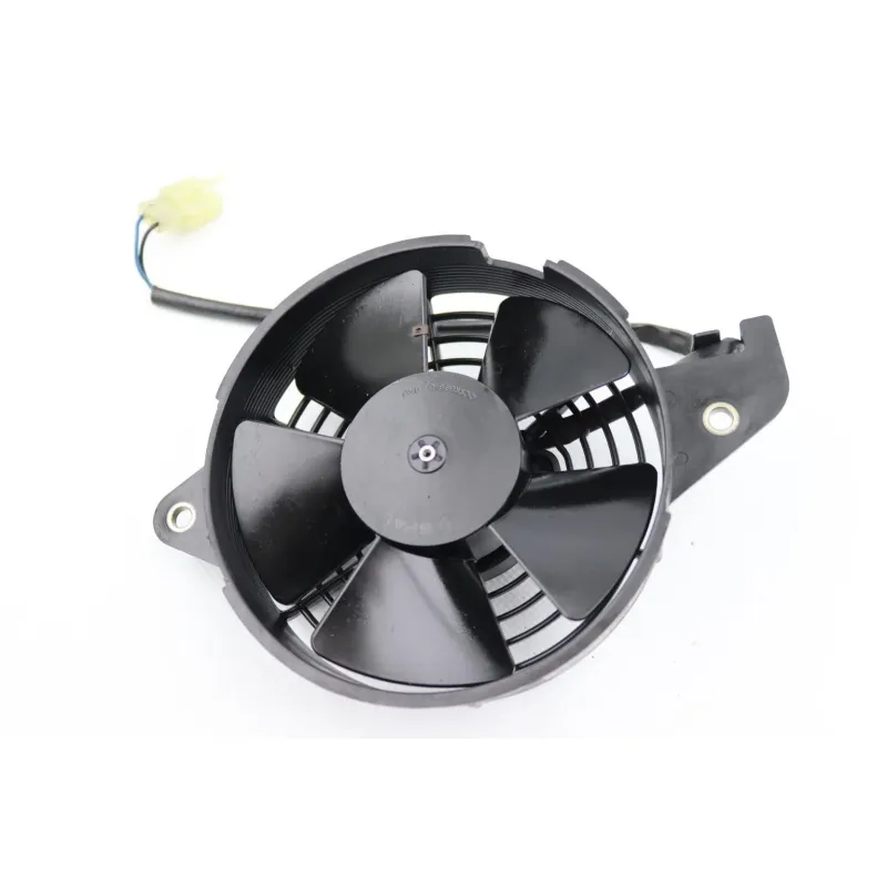 Ventilateur HONDA FES 125 PANTHEON 2005 - 2006
