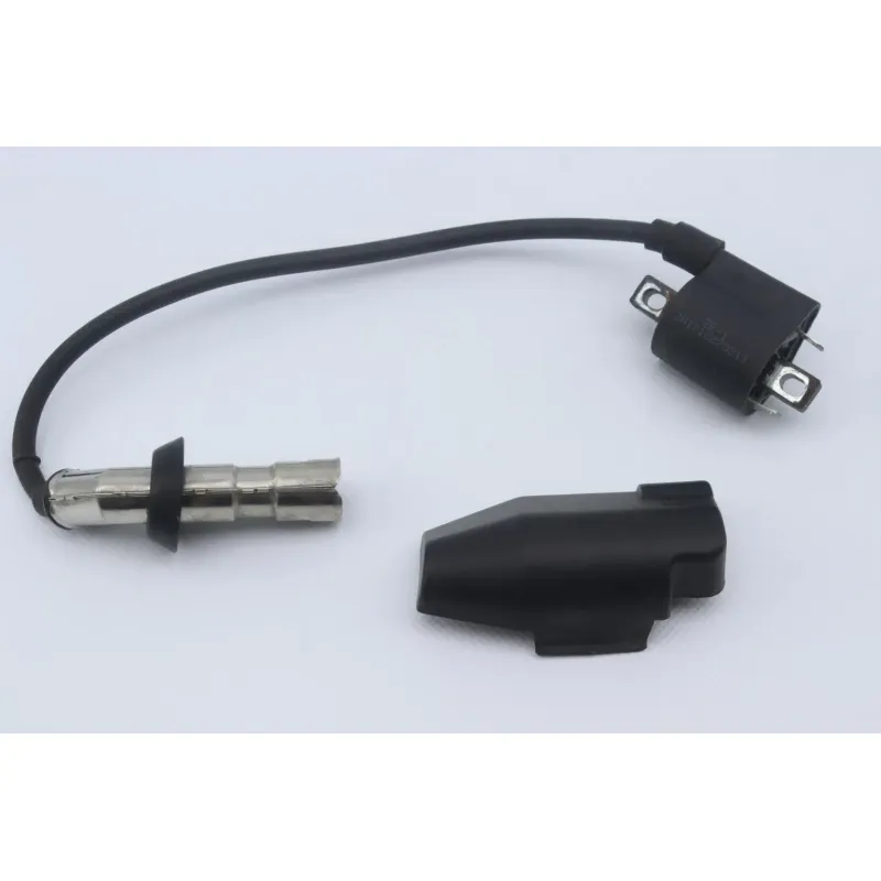 Bobine allumage EUROCKA GTR 50 2015 - 2018