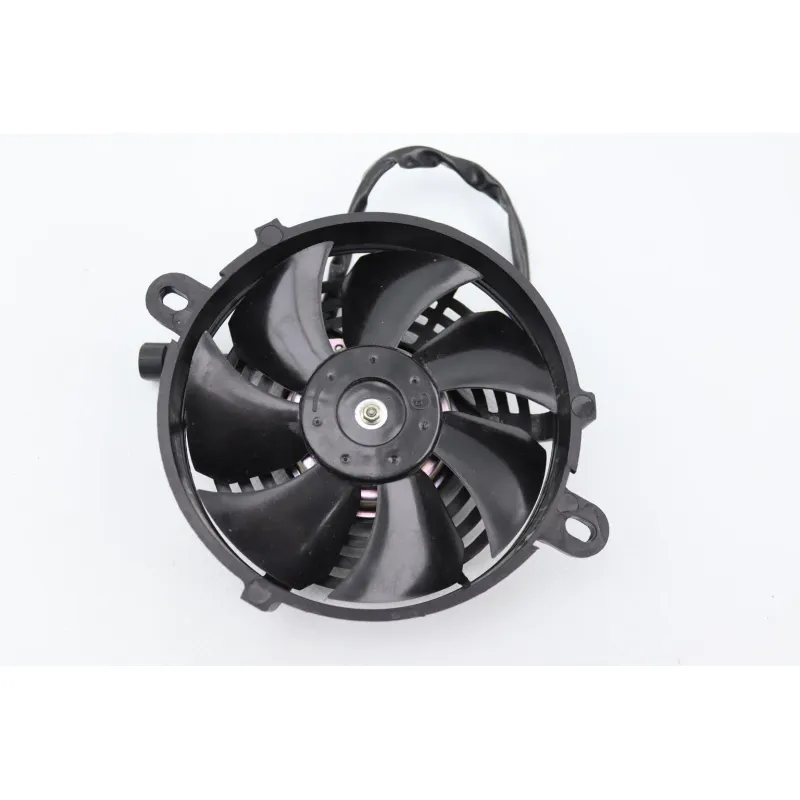 Ventilateur MALAGUTI XSM 50 2019 - 2020