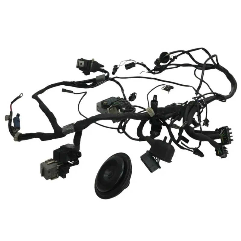 Faisceau electrique BMW R 80 R 800 1991-1996
