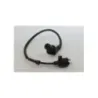Bobine allumage JM MOTORS MIA RS 50 2020 -2021