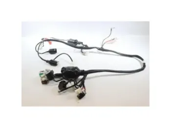 Faisceau electrique JM MOTORS MIA RS 50 2020 -2021
