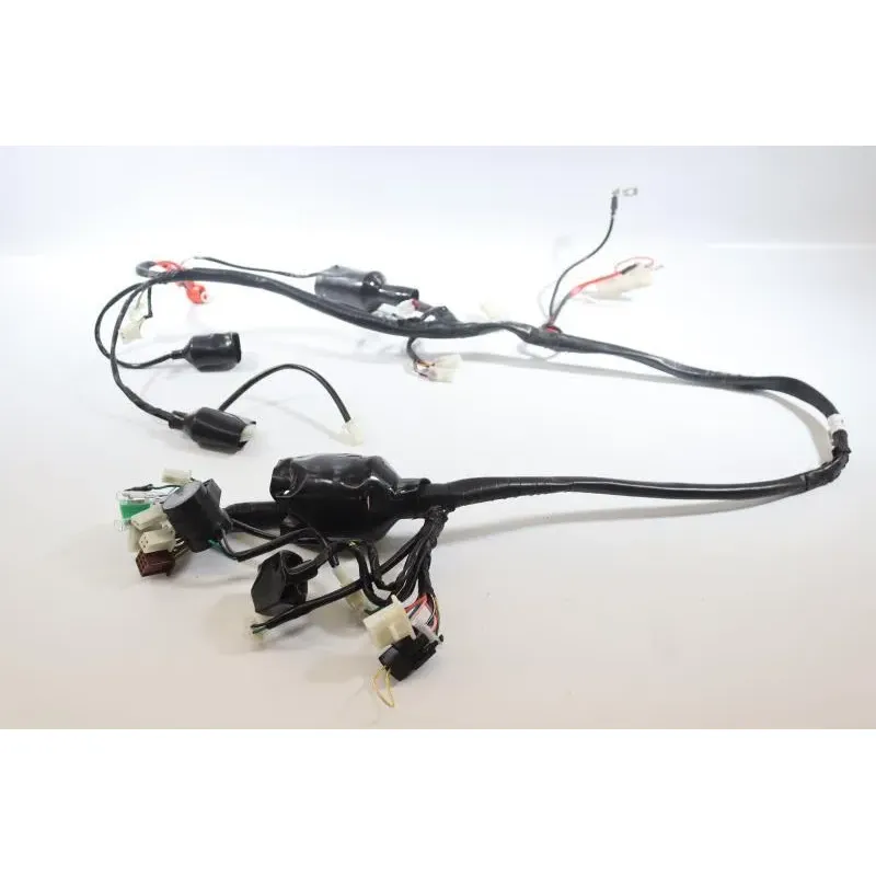 Faisceau electrique JM MOTORS MIA RS 50 2020 -2021