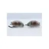 Clignotants arriere SUZUKI GSXR 1300 HAYABUSA 2008 - 2010