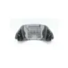 Grille de radiateur DAELIM S3 125 2011 - 2012
