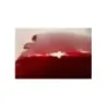 Separation de coque arriere HONDA FES 250 FORESIGHT 1998 - 2002