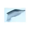 Coque arriere droit BMW K 1200 S 2005 - 2008