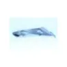 Cache flanc de carenage droit BMW S 1000 R 2014 - 2016 Cache flanc de carenage droit BMW S 1000 R 2014 - 2016