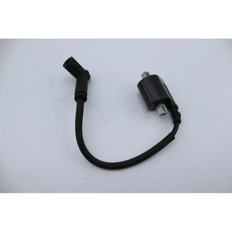 Bobine allumage CPI GTR 50 2006 - 2008