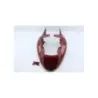 Coque arriere SUZUKI GSXR 1300 HAYABUSA 1999 - 2007 Coque arriere SUZUKI GSXR 1300 HAYABUSA 1999 - 2007