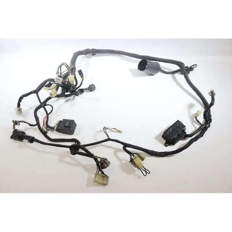 Faisceau electrique YAMAHA TDM 850 1996 - 2002