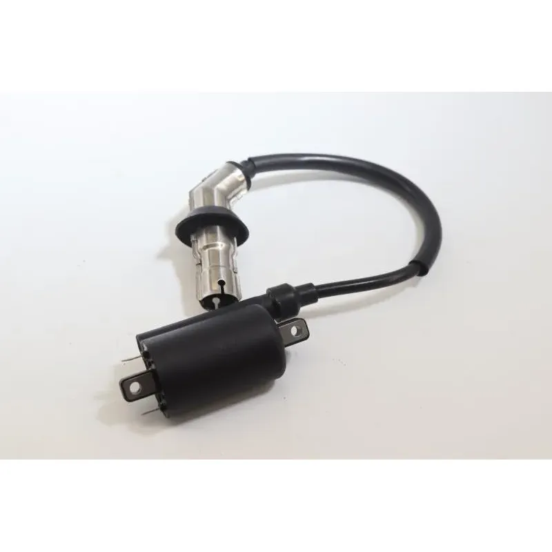Bobine allumage PEUGEOT KISBEE 50 2010 - 2020
