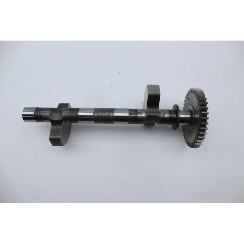 Arbre equilibrage ROYAL ENFIELD CONTINENTAL 650 GT ABS 2019 - 2023
