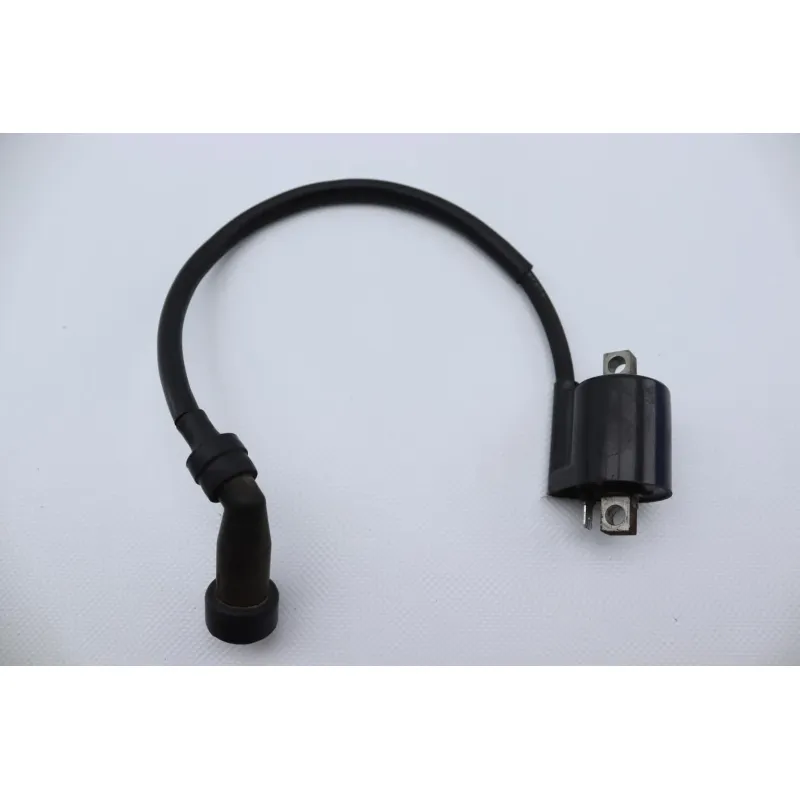 Bobine allumage YAMAHA YBR 125 2005 - 2006