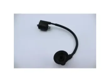 Bobine allumage YAMAHA CW 50 BWS 2004 - 2012