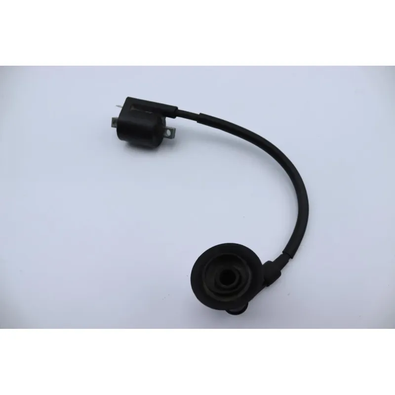 Bobine allumage YAMAHA CW 50 BWS 2004 - 2012