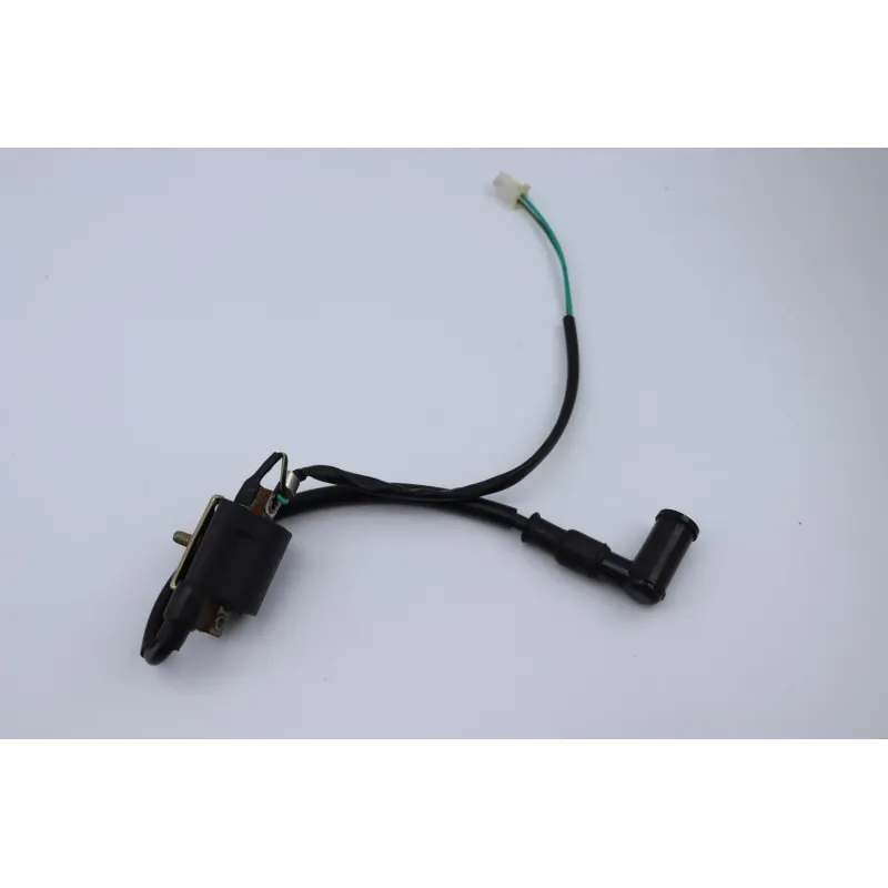 Bobine allumage TARANTULA DIRT BIKE 125 2021 - 2021