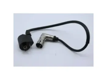 Bobine allumage YUAN XGJ 125 2006 - 2007