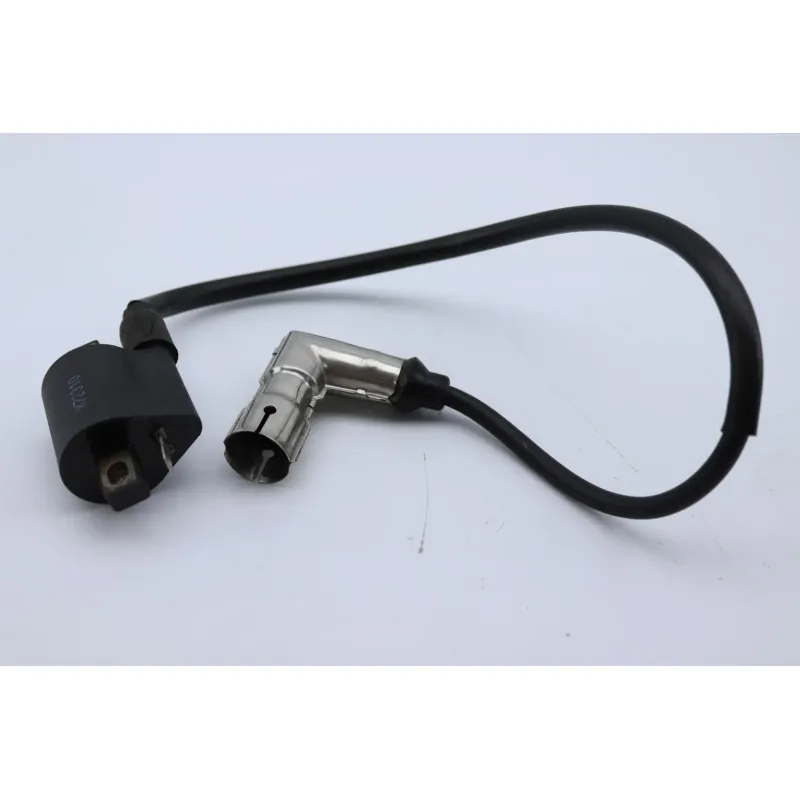 Bobine allumage YUAN XGJ 125 2006 - 2007